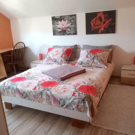 Apartman Franjicic Korenica Luaran gambar
